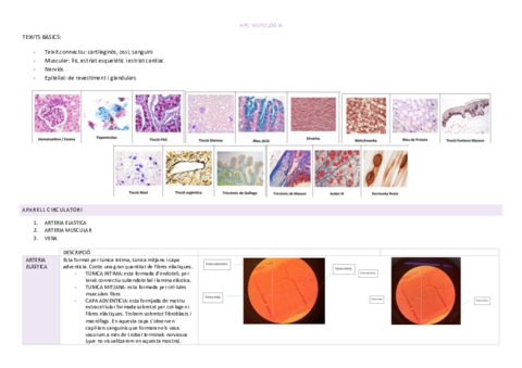 HPC-HISTOLOGIA.pdf