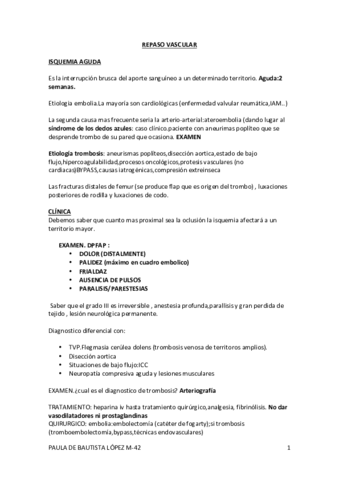 REPASO-VASCULAR-IMPORTANTE-EXAMEN.pdf