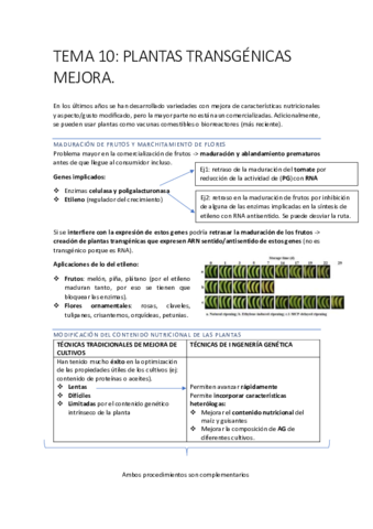INGENIERIA-71-77.pdf