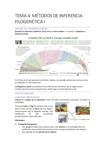 EVOLUCIONN-24-35.pdf