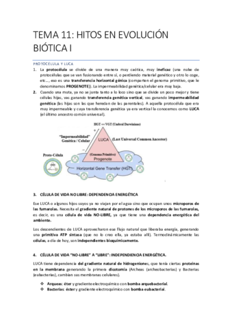 EVOLUCIONN-Recuperado-automaticamente-80-87.pdf