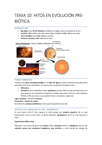 EVOLUCIONN-Recuperado-automaticamente-75-79.pdf