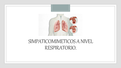 Simpaticomimeticos-respiratorios.pdf