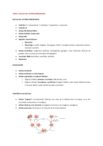 TEMA-2.pdf