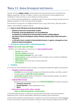 TEMA 11.pdf