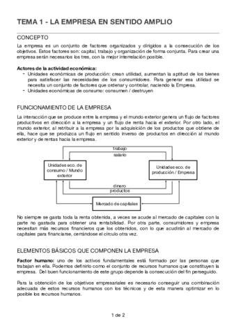 Tema-1-La-empresa-en-sentido-amplio.pdf