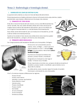 TEMA 2.pdf