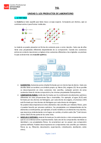 UNIDAD-5-TGL-APUNTES.pdf
