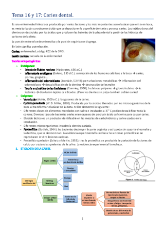 TEMA 16 y 17.pdf