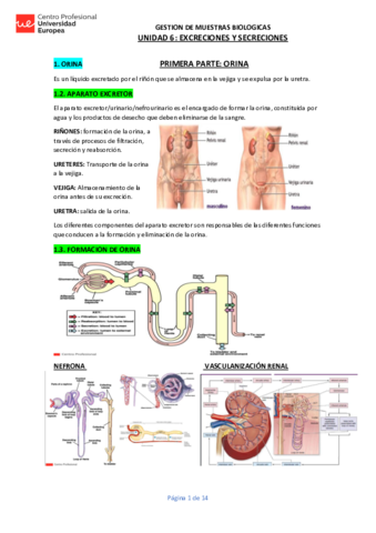 UNIDAD-6-GMB.pdf