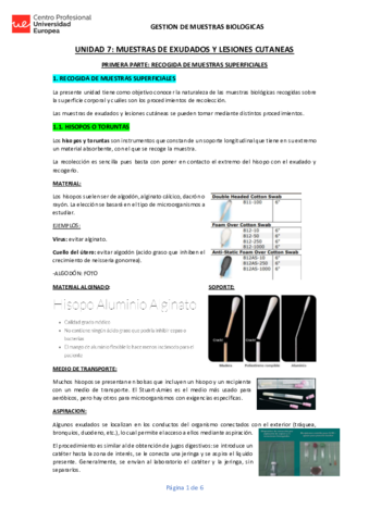 UNIDAD-7-GMB-APUNTES.pdf