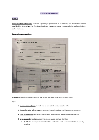 PSICOLOGIA-EXAMEN.pdf