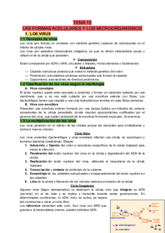TEMA-15.pdf
