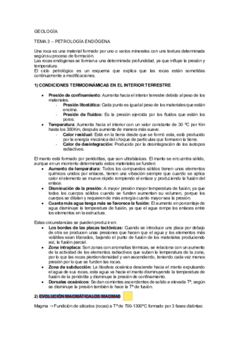 TEMA-3-Petrologia-endogena.pdf