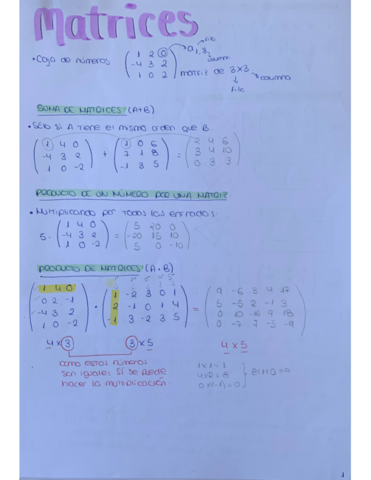 MATRICES.pdf