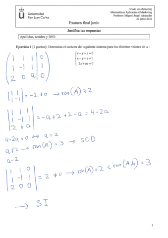 2021-06-22-Mat-Mark-examen-RESUELTO.pdf