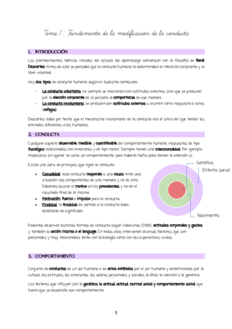 TEMA1.pdf