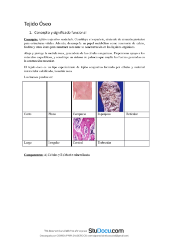 Tejido-Oseo-Histologia.pdf