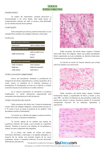 Tejido-conectivo-Clasificacion-TC-embrionario-TC-del-adulto-Celulas-Matriz-extracelular-Fibras-Histologia.pdf