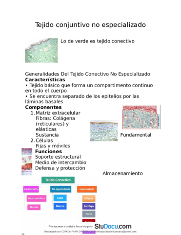 Tejido-conectivo-Histologia.pdf