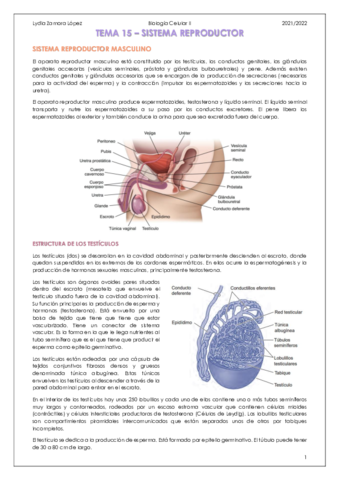 Tema-15-Sistema-reproductor.pdf