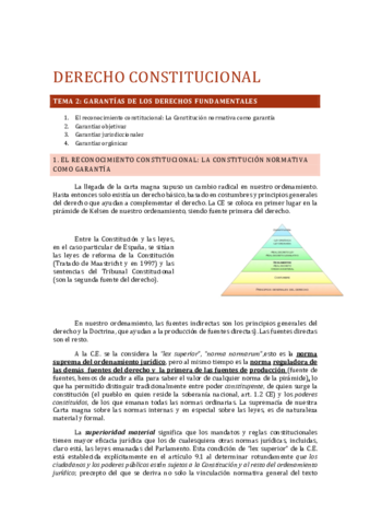 DERECHO-CONSTITUCIONAL.pdf