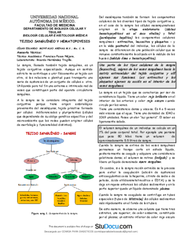 Tejido-sanguineo-histologia.pdf