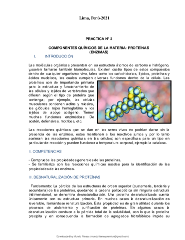 Practica-N-2-COMPONENTES-QUIMICOS-DE-LA-MATERIA.pdf