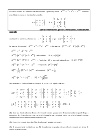 Matrices-y-Determinantes soluciones.pdf