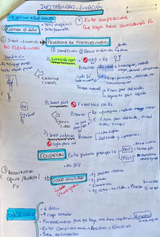 practicum-ii.pdf