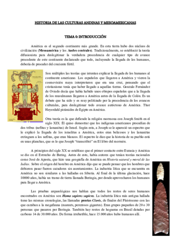 Copia-de-Andinas-apuntes.pdf