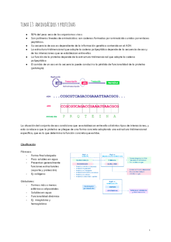 tema-13-aminoacidos-y-proteinas-2.pdf