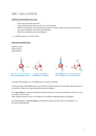 tema-12-agua-y-electrolitos.pdf