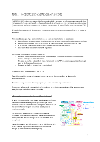 tema-16-consideraciones-generales-del-metabolismo-2.pdf