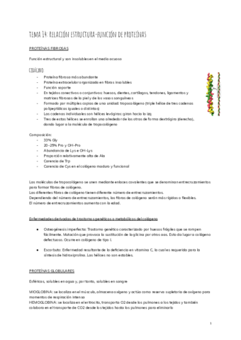 tema-14-relacion-estructura-funcion-de-proteinas.pdf