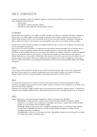 tema-16-sistema-digestivo-2.pdf