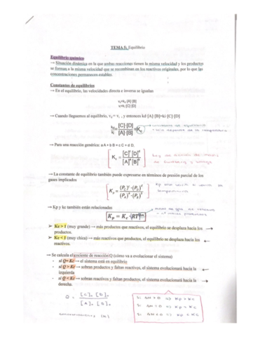 TEMA-5-Equilibrio.pdf