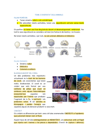 BOS-PERIODA-ACADEMIC-5.pdf