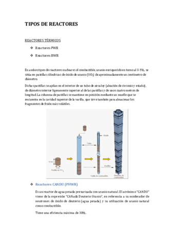 TIPOS-DE-REACTORES.pdf