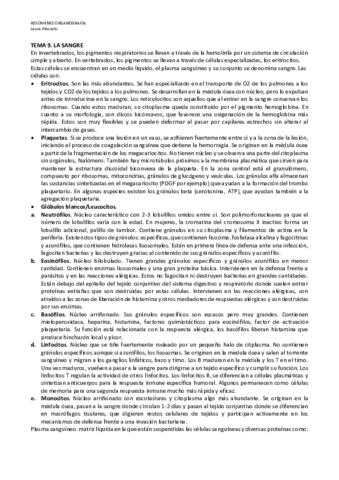 Resumenes-organografia.pdf