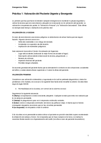 Practica-1-Emergencias.pdf