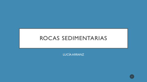 ROCAS-SEDIMENTARIAS.pdf