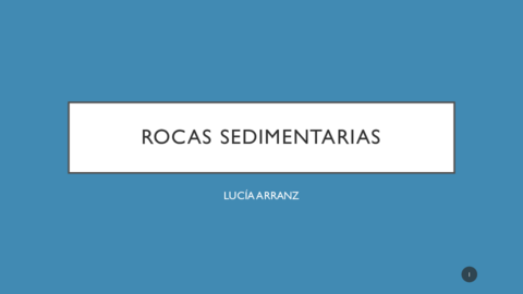 ROCAS-SEDIMENTARIAS.pdf