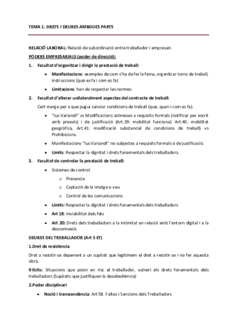 derecho-trabajo-II.pdf