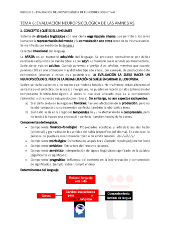 Tema-6.pdf