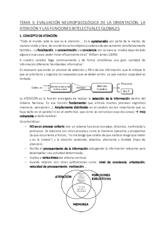 Tema-3.pdf