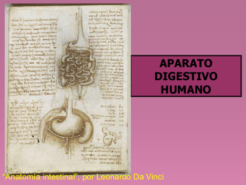 Apuntes-aparato-digestivo-9.pdf