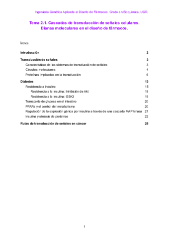 IGF-Tema-2.pdf