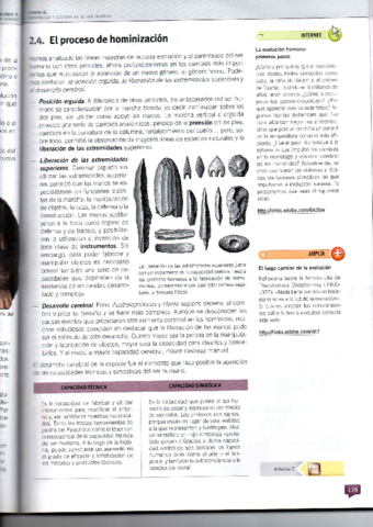PROCESO-DE-HOMIZACION.pdf