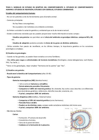 Apuntes-tema-5.pdf